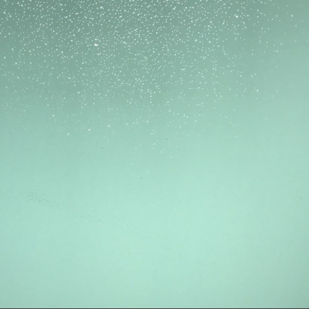 Meet your Posher, Farmer’s